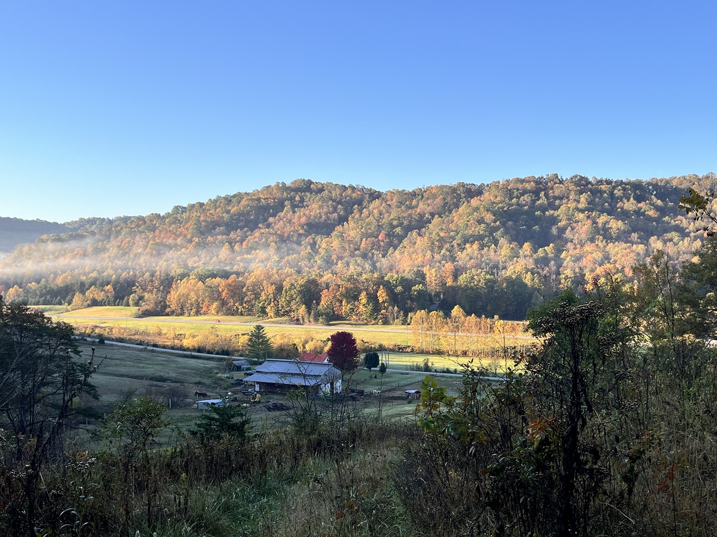 Misty Morning over Manley Hollow Vanceburg Kentucky